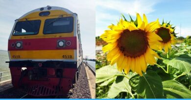 รถไฟลอยน้ํา เขื่อนป่าสักชลสิทธิ์2568