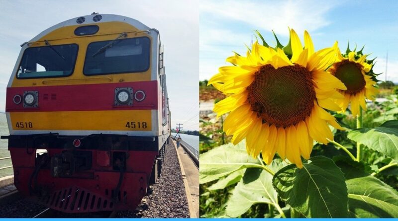 รถไฟลอยน้ํา เขื่อนป่าสักชลสิทธิ์2568