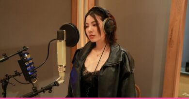 วันเดอร์เฟรม