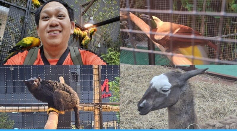 รีวิว The Mall Lifestore Jungle Walk 2026 ป่ามหัศจรรย์กลางห้าง