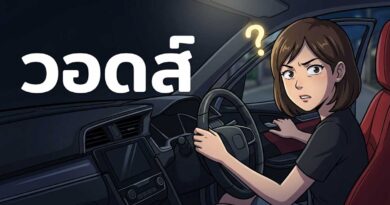 วอดส์ คำฮิต TikTok
