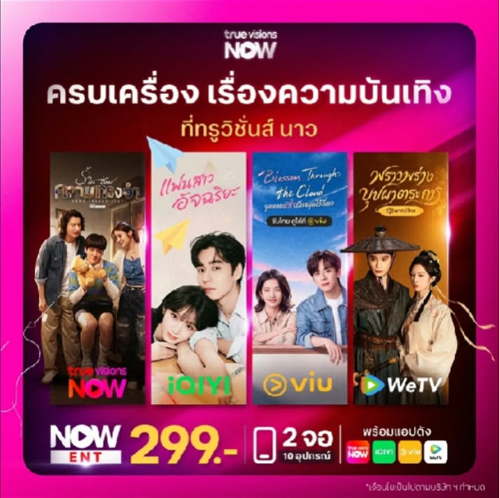 TrueVisions NOW แพ็ก NOW ENT 299